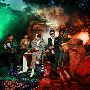 人与动物兽交视频
