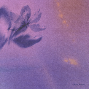 人与动物兽交视频
