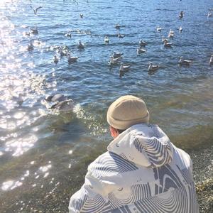 人与动物兽交视频
