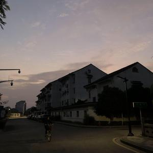 人与动物兽交视频
