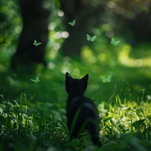 人与动物兽交视频
