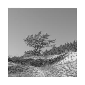 人与动物兽交视频
